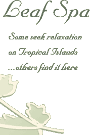 Some seek relaxation on Tropical Islands ...others find it here.